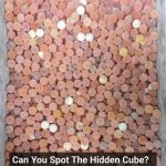 The Great Cube Hunt: A Challenge for Eagle Eyes