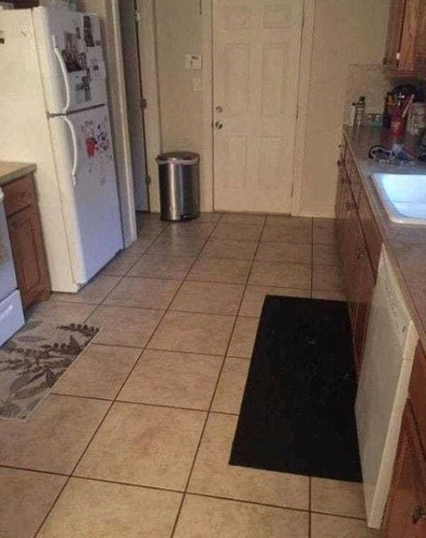 The Great Kitchen Canine Caper: Can You Spot the Hidden Dog?