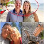 Four Years After Disappearing, Camping Couple’s Belongings Found in Olympic National Park