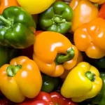 Paprika’s Best-Kept Secret: It’s Not What You Think