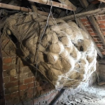 The Unexpected Discovery in the Attic