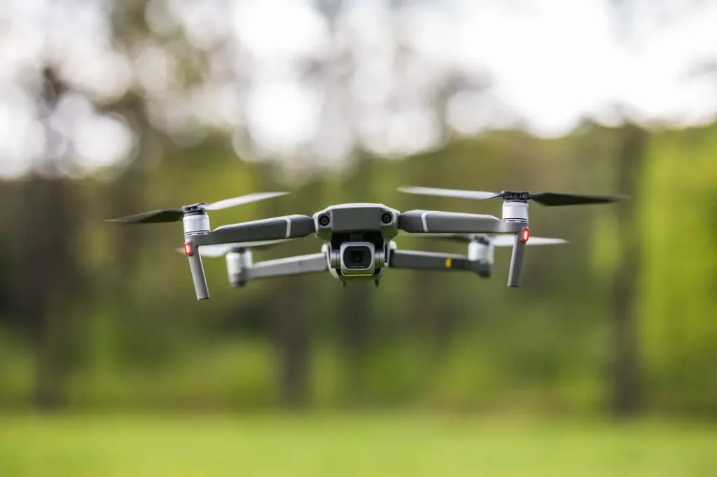 Drone Footage Reveals Astonishing Magnetic Field Herding Sheep on a Struggling Farm
