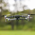 Drone Footage Reveals Astonishing Magnetic Field Herding Sheep on a Struggling Farm
