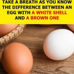 Brown eggs vs. white eggs — which is the healthier choice?