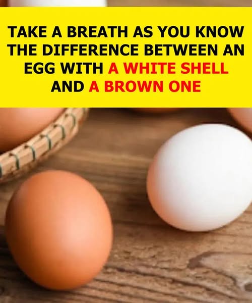 Brown eggs vs. white eggs — which is the healthier choice?