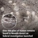 Over 100 Piles of Human Remains Found in Nevada Desert, Federal Probe Underway
