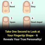 Discover What Fingertip Shapes Reveal