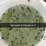 DIY Natural Bug Repellent to Keep Insects Away