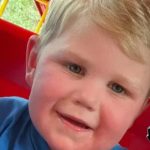 Georgia toddler stung over 150 times by yellow jackets, fighting for life