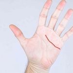 The Ancient Art of Palmistry: Unveiling the Secrets of the Palm
