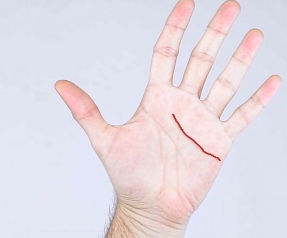 The Ancient Art of Palmistry: Unveiling the Secrets of the Palm