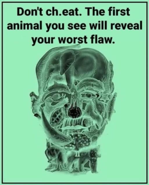 What Your First Animal Says About Your Personality