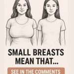 Understanding Breast Size and Its Connection to Hormonal Health