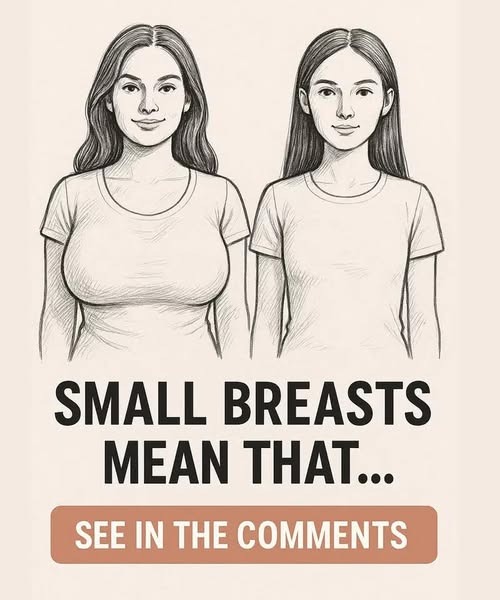 Understanding Breast Size and Its Connection to Hormonal Health