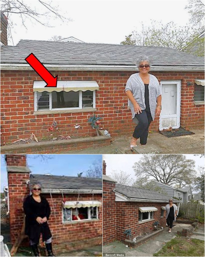 Hidden History Found Beneath a $500 Tiny House