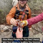 The Baffling Whiskey Shot Illusion: A Test of Perception