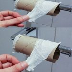 The Future of Toilet Paper: A Shift Towards Sustainability