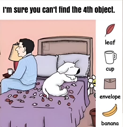 Think You Can Find What Everyone Else Misses? The Hidden Object Puzzle Challenge