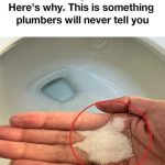 The Simple Yet Effective Toilet Hack You Need to Know
