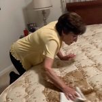 The Cost of a Lie: When My Mother-in-Law Framed My Son