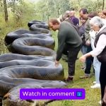 A Slithery Lesson on the Trail: Turning a Scare into a Teachable Moment