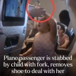 “Fork Attack at 30,000 Feet—Little Girl Stabs Passenger, Mom Shrugs, and TikTok Explodes”