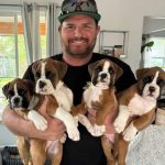 On the side of the road, I discovered four boxer puppies
