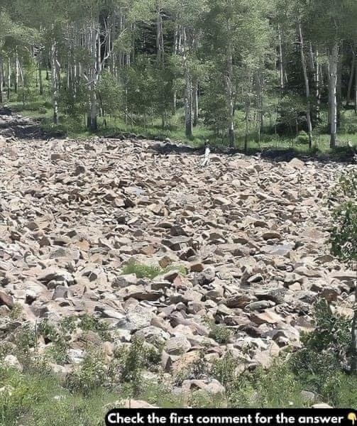 Can You Spot the Hidden Woman in This Image?