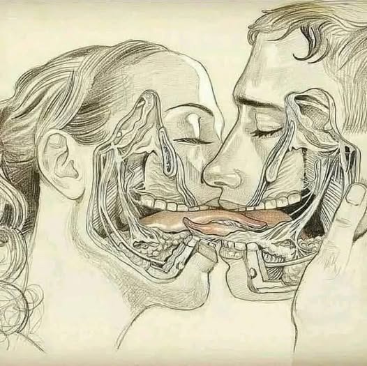 The Language of Kissing: What Your Partner’s French Kisses Reveal