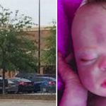 Reborn Doll Mistaken for Baby Leads to Police Window Break-In