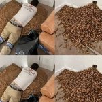 A Lesson in Home Investigation: When a Smell Leads to a Structural Shock