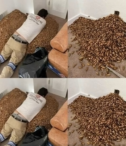 A Lesson in Home Investigation: When a Smell Leads to a Structural Shock