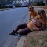 A Circle of Loyalty: How a Rescue Dog Found His Way Back Home