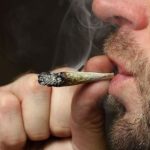 The Unknown Dangers of Marijuana Use for People Over 30