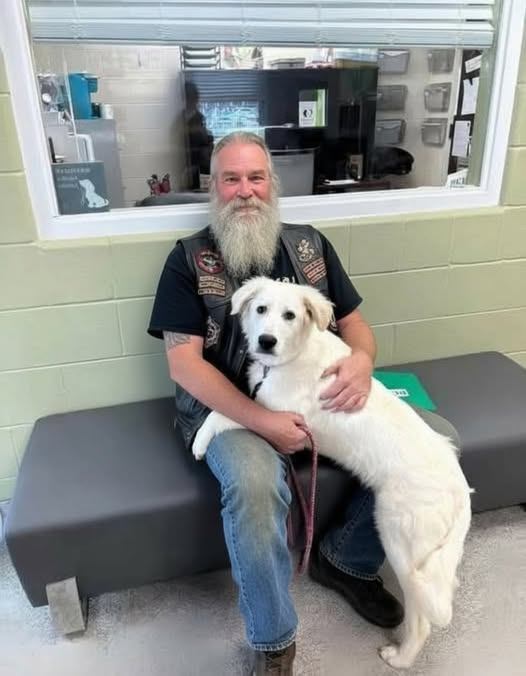 Biker Found This Dog Chained To A Bridge With A Note