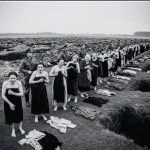 The Babi Yar Massacre: A Story of Unfathomable Tragedy and Silence